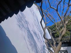 -上海醉白池公园