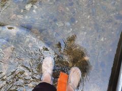 -雅鲁激流探险漂流