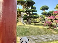 -南宁南湖公园
