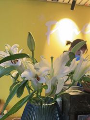 -FineYoga梵音瑜伽·普拉提