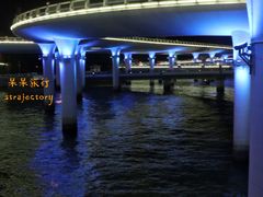 -演武大桥观景平台