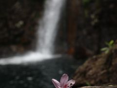 -宁波五龙潭景区