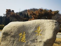 -洛阳古墓博物馆