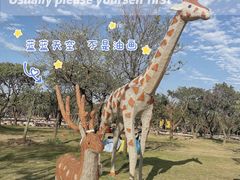 -长洲岛都市农业公园