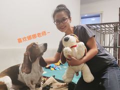 -多乐狗狗宠物训练工作室