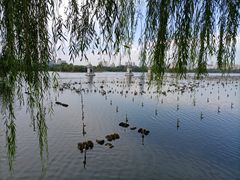-济南大明湖景区