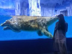 -多彩贵州城极地海洋世界