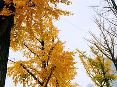 -百林公园-两江幸福广场