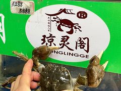 -阳澄湖大闸蟹·琼灵阁牌品牌连锁(吴中总店)