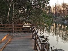 -新江湾城公园