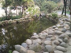 -成都市活水公园