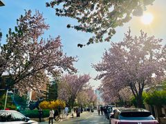 -天津五大道文化旅游区