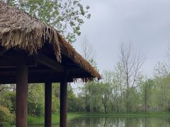 -溱湖国家湿地公园