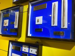 -上海昆虫博物馆