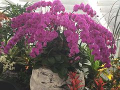 -胡须张鲁肉饭(美食文化馆店)