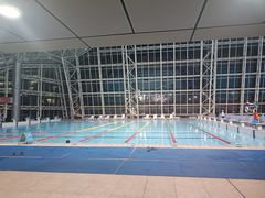 -深圳大学城（南区）体育中心-游泳馆