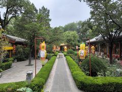 -白家大院·王府宫廷菜(苏州街店)