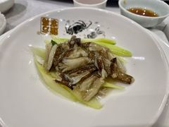 -新光酒家·河豚·海鲜·蟹料理(浦东店)