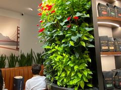 -Peet's Coffee皮爷咖啡(德基店)