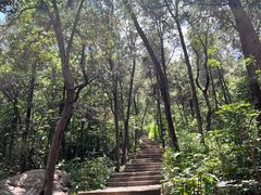 -云龙山
