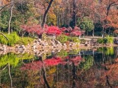 -灵谷景区