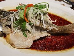 -陆壹捌餐厅(五大道店)