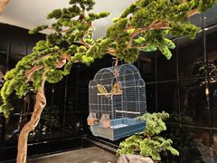 -同庆楼(天鹅湖万达店)