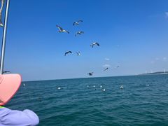 -海驴岛(荣成市)