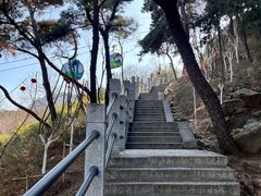 -崂山仰口游览区