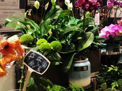 -豆豆花艺(新光天地店)