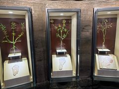 -辽宁古生物博物馆