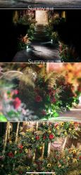 点击看大图 -Sunny喜铺婚礼策划(东部店)