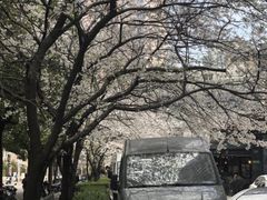 -玛格萝妮比萨屋(四平店)