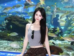 -海合安武汉极地海洋公园