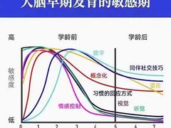 -金色雨林感统训练·专注力·语言认知·心理沙盘(天通苑校区)