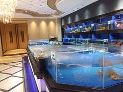 水产区-粤珍轩.创始店.始于2001(含光门店)