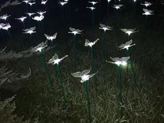 -龙口南山旅游景区