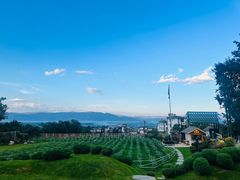 -云禾壹海景庄园餐厅