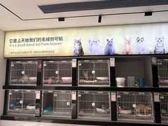 -翊宠yipet猫狗购宠庄园犬舍•猫舍