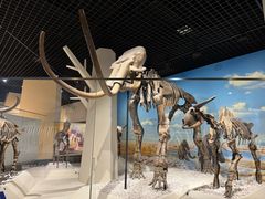 -国家自然博物馆