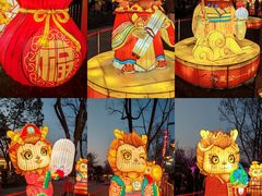 -武汉园博园(武汉自然博物馆)