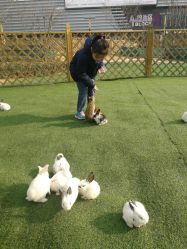 -萌宠亲子动物乐园(槐房万达店)