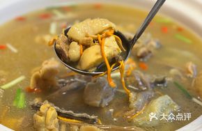 Medicinal Mushroom Turtle Soup Pot