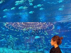 -亚特兰蒂斯•OSSIANO奥西亚诺海底餐厅