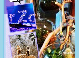 重要的是还有小姐姐讲解!