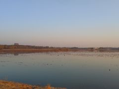 -天津东丽湖风景区