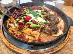 -老板恋上鱼(振华商厦店)