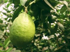 -南通洲际绿博园