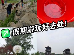 -绿堤公园