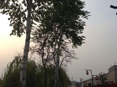 -北国商城